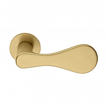 Poignée de porte Dnd DP40 PVD-SG finition doré
