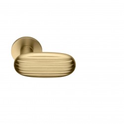 Poignée de porte Dnd MA40 PVD-SG finition doré