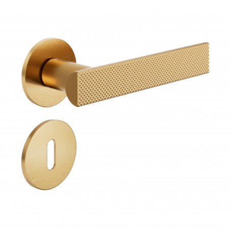 Poignée de porte Dnd AB40-PVD-SG finition doré