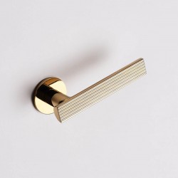 Poignée de porte Dnd AE40-PVD-BG finition doré