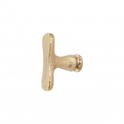 Bouton de meuble bronse brut poli DAUBY PBU45 RBP