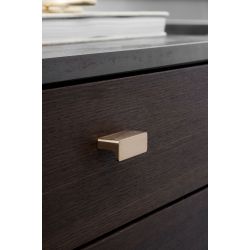 Meubelknop Elan goud geborsteld