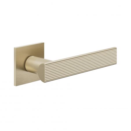 Deurklink Anik Line 02 champagne goud