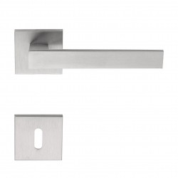 Poignée de porte inox...