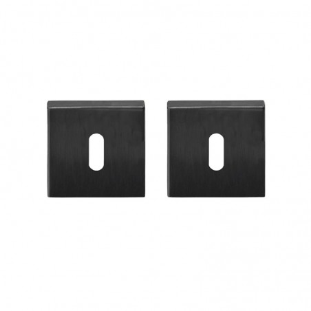 Sleutelrozet BSQN53 IG ( per paar )