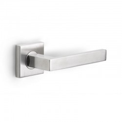 Poignée de porte inox...