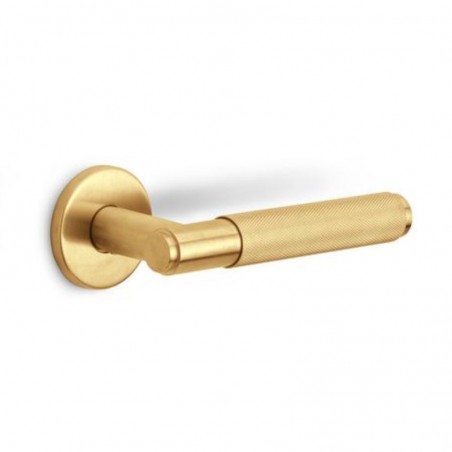 Poignée de porte PVD or mat Noa