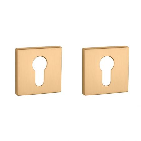 Paire de rosaces pour cylindre Q 7S or mat Aprile