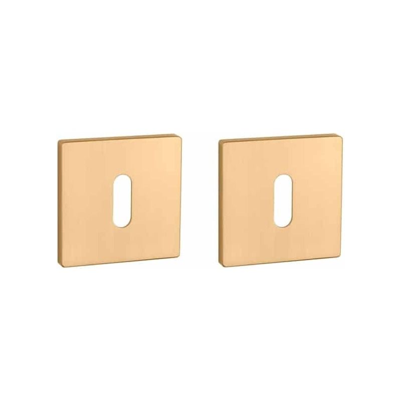Paire de rosaces pour clé L Q 5S or mat Aprile
