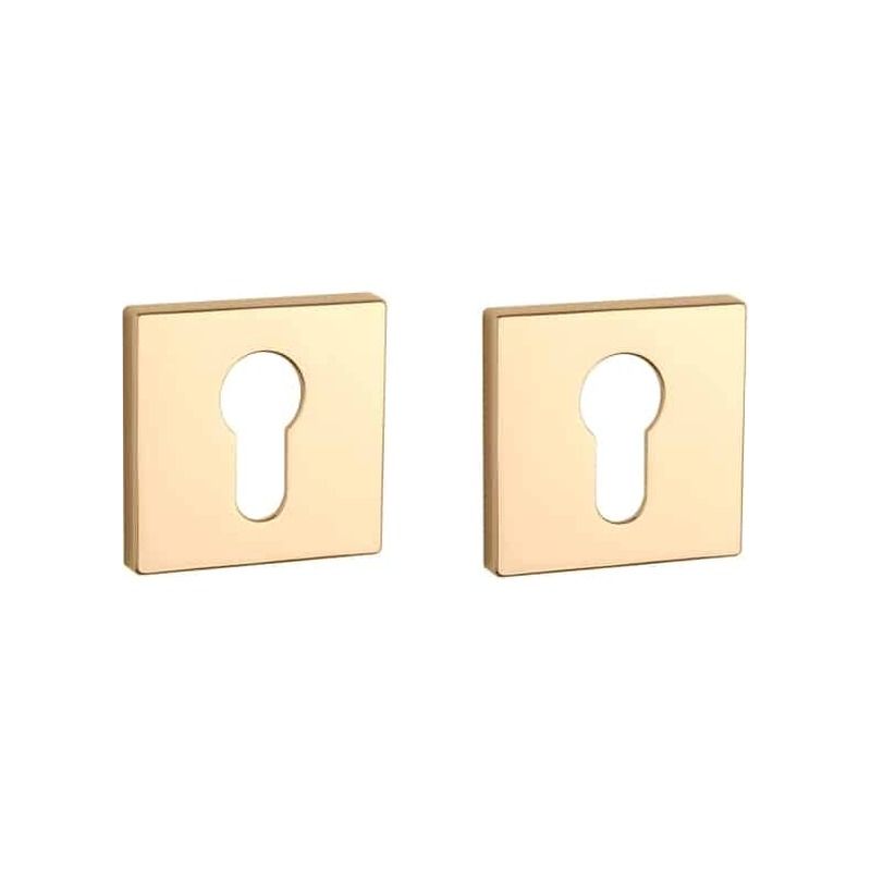 Paire de rosaces pour cylindre QRT 7S or poli Aprile