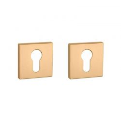 Paire de rosaces pour cylindre QRT 7S or mat Aprile