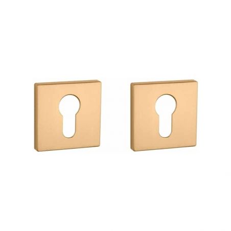 Paire de rosaces pour cylindre QRT 7S or mat Aprile
