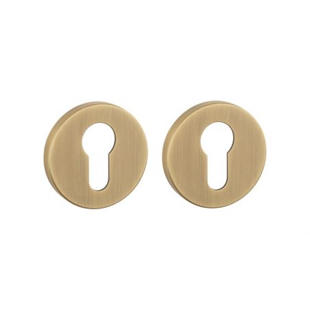 Paire de rosaces pour cylindre R 7S patine antique Aprile