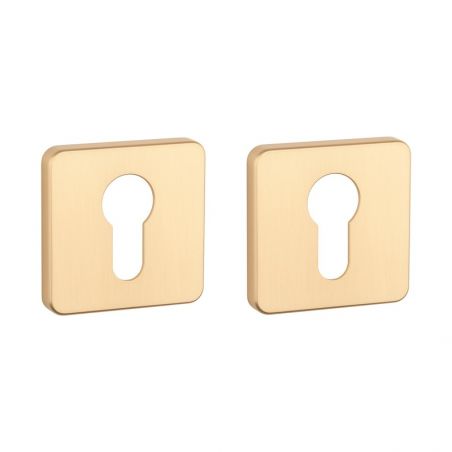 Paire de rosaces pour cylindre QS 7S or mat Aprile