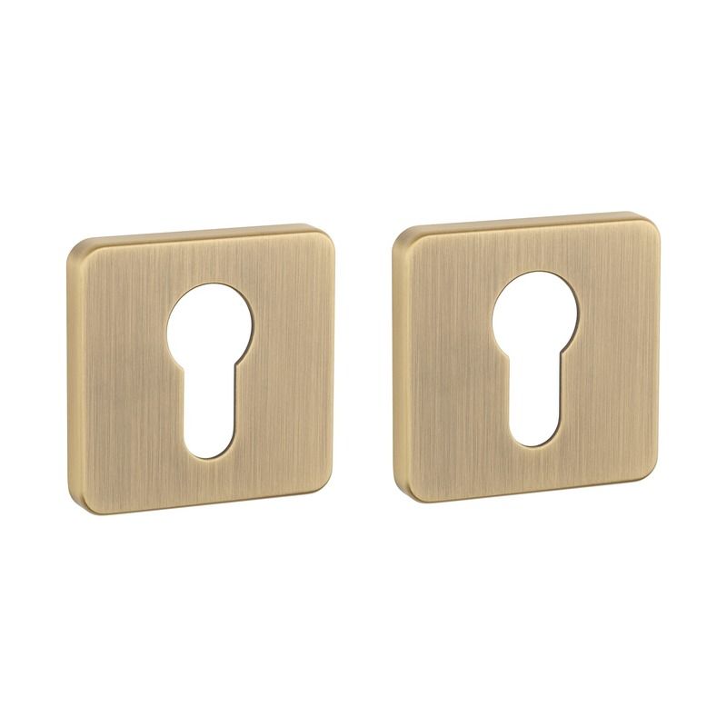 Paire de rosaces pour cylindre QS 7S patine antique Aprile