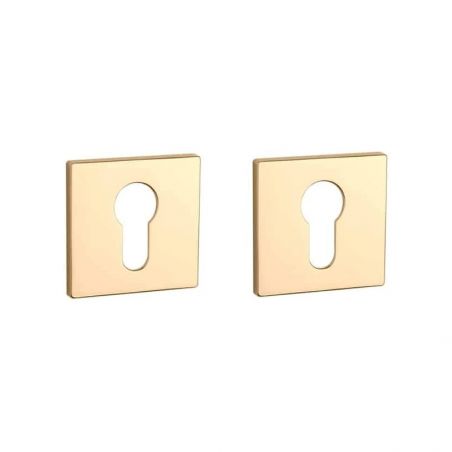 Paire de rosaces pour cylindre Q 7S or poli Aprile