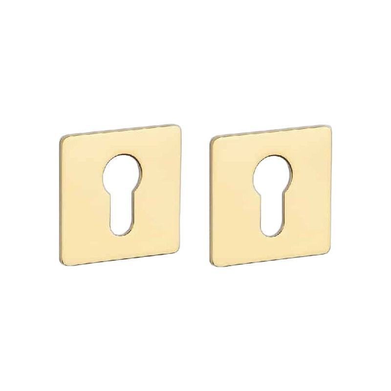 Paar cilinderrozetten KVADRAT 3 mm 1711 gepolijst goud Sterk
