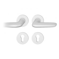Poignée de porte FSB 1291 blanc RAL 9016