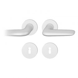 Poignée de porte FSB 1291 blanc RAL 9016
