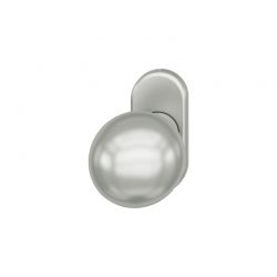 Bouton de porte fixe FSB 0802 sur rosace étroite ovale aluminium naturel