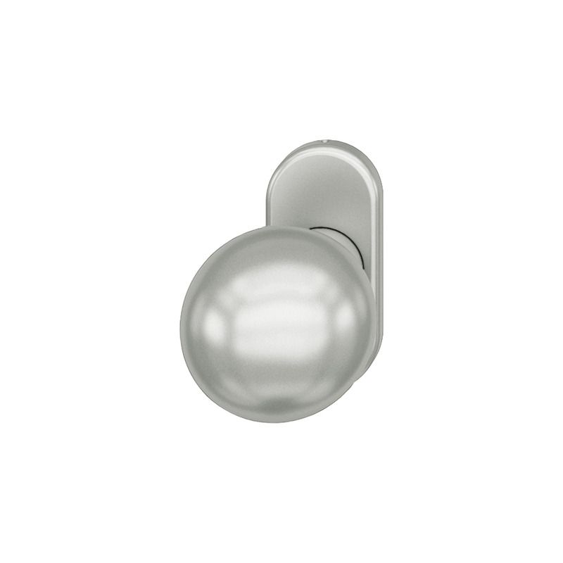 Bouton de porte fixe FSB 0802 sur rosace étroite ovale aluminium naturel