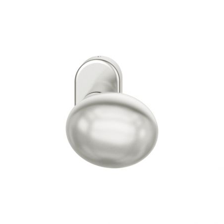 Bouton de porte fixe FSB 0804 sur rosace étroite ovale aluminium naturel
