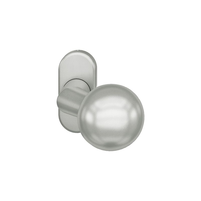 Bouton de porte fixe FSB 0846 sur rosace étroite ovale aluminium naturel