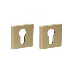 Paire de rosaces pour cylindre I 700 laiton mat Quincalux