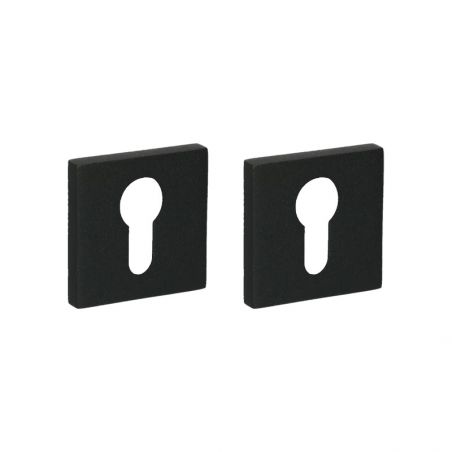 Paire de rosaces pour cylindre I 700 noir Quincalux