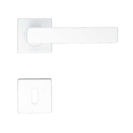 Poignée de porte Pros-eco PE642310 finition blanc