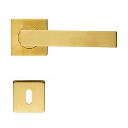 Poignée de porte Pros-eco PE6423053 finition doré