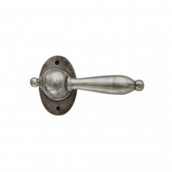 Poignée de porte Dauby 10032 finition fer poli