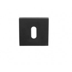 Paire de rosaces LSQBN50 NM